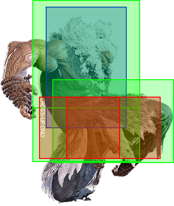 j.LK Hitbox