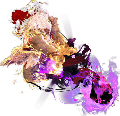 236KK~j.236P Move