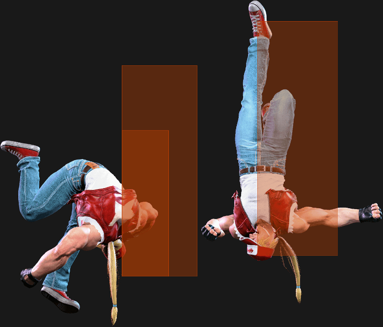 236236P Hitbox