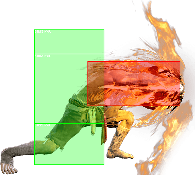 236236P Hitbox 1