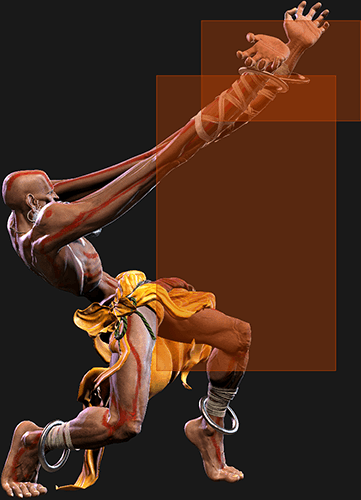 236236K Hitbox