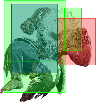 j.LP Hitbox